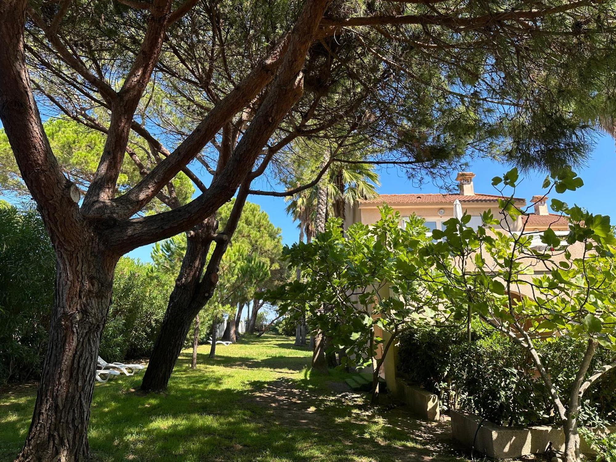 Residence Les Chenes Borgo  Exterior photo